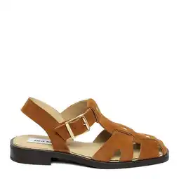 Wehkamp Steve Madden Nado suède sandalen cognac aanbieding