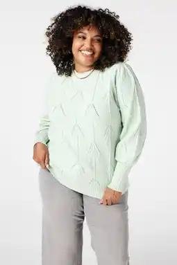 Wehkamp MS Mode pullover mintgroen aanbieding