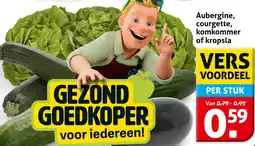 Hoogvliet Aubergine, courgette, komkommer of kropsla aanbieding
