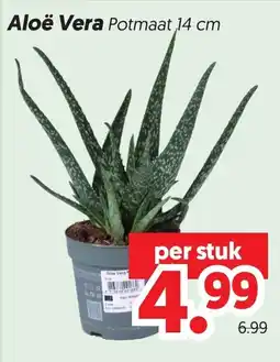 Dekamarkt Aloë Vera aanbieding