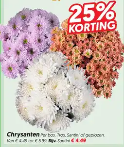 Dekamarkt Chrysanten aanbieding
