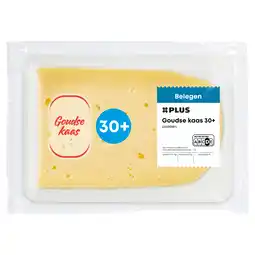 PLUS PLUS Goudse Belegen 30+ plakken aanbieding
