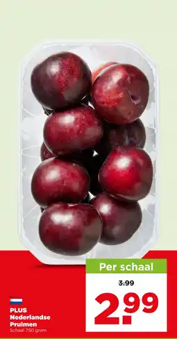 PLUS Plus nederlandse pruimen aanbieding