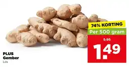 PLUS Plus Gember aanbieding