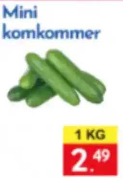 Tanger Markt mini komkommer aanbieding
