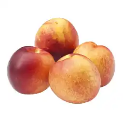 Albert Heijn AH Nectarines aanbieding