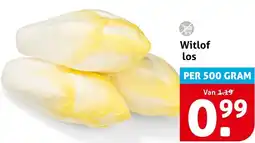 Hoogvliet Witlof aanbieding