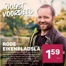 Ekoplaza rode eikenbladsla aanbieding