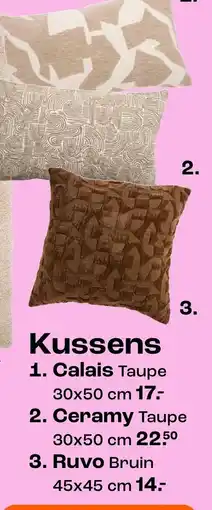 Kwantum Kussens aanbieding