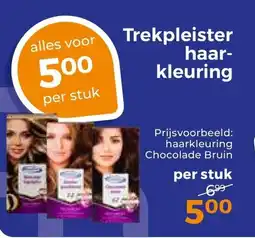 Trekpleister Trekpleister haar- kleuring aanbieding