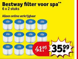Kruidvat Bestway filter voor spa aanbieding