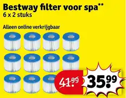 Kruidvat Bestway Filter voor Spa aanbieding