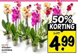 Vomar Voordeelmarkt Vlinder-orchidee aanbieding