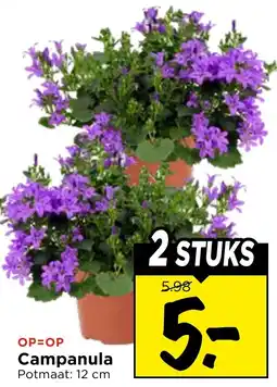 Vomar Voordeelmarkt Campanula aanbieding