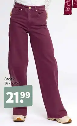 Wibra Broek aanbieding