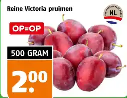 Poiesz Reine Victoria pruimen aanbieding