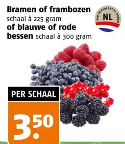 Poiesz Bramen of frambozen of blauwe of rode bessen aanbieding