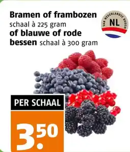 Poiesz Bramen of frambozen of blauwe of rode bessen aanbieding