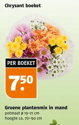 Poiesz Chrysant boeket aanbieding