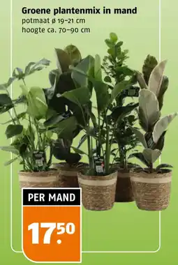 Poiesz Groene plantenmix in mand aanbieding