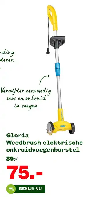 Gloria Weedbrush elektrische onkruidvoegenborstel