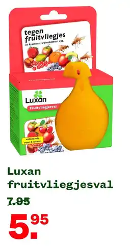 Welkoop Luxan fruitvliegjesval aanbieding