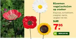 Welkoop Bloemen vogelschalen op steker aanbieding