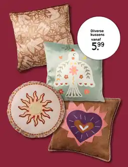 Xenos Diverse kussens aanbieding