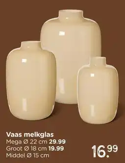 Xenos Vaas melkglas aanbieding