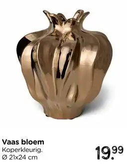 Xenos Vaas bloem aanbieding