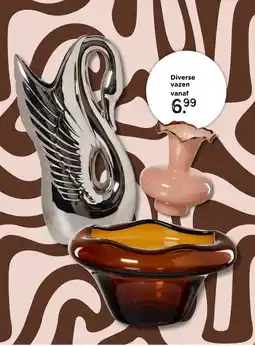 Xenos Diverse vazen aanbieding