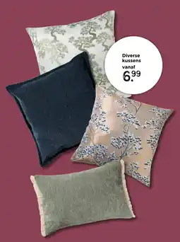 Xenos Diverse kussens aanbieding