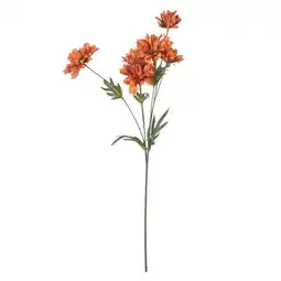 Van Cranenbroek Bloem chrysanthemum roest 80 cm aanbieding