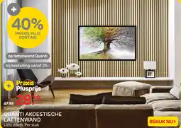 Praxis Quanti akoestische lattenwand aanbieding