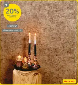 Praxis Op behang aanbieding