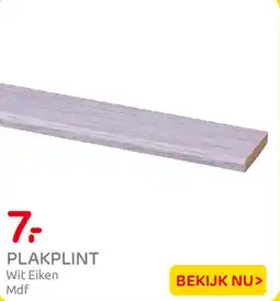 Praxis Plakplint aanbieding