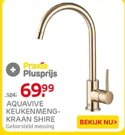 Praxis Aquavive keukenmengkraan shire geborsteld messing aanbieding