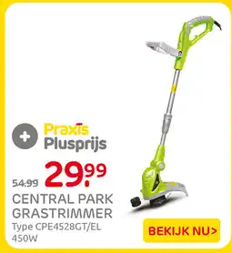 Praxis Central park grastrimmer aanbieding