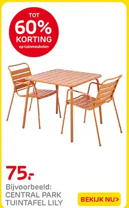 Praxis Central park tuintafel lily aanbieding