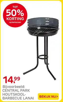 Praxis Central park houtskool- barbecue lanai aanbieding