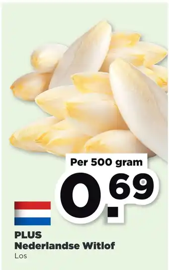 PLUS PLUS Nederlandse Witlof aanbieding