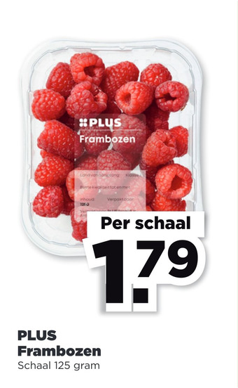 PLUS PLUS Frambozen aanbieding