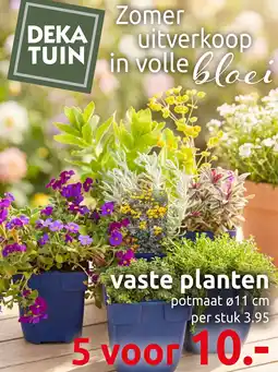 Deka Tuin Deka Tuin vaste planten aanbieding