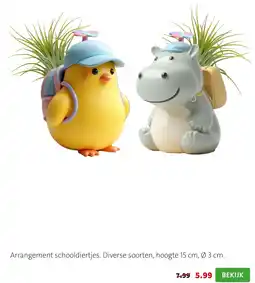 Intratuin Arrangement schooldiertjes aanbieding