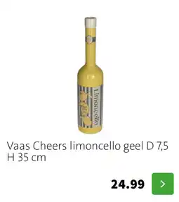 Intratuin Vaas cheers limoncello geel aanbieding