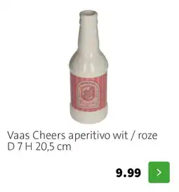 Intratuin Vaas Cheers aperitivo wit / roze aanbieding