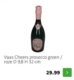Intratuin Vaas Cheers prosecco aanbieding