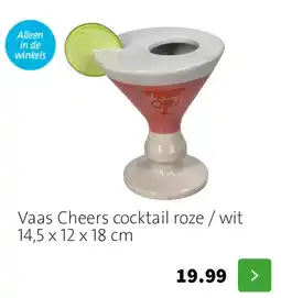 Intratuin Vaas Cheers cocktail roze / wit aanbieding