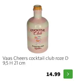 Intratuin Vaas Cheers cocktail club roze aanbieding