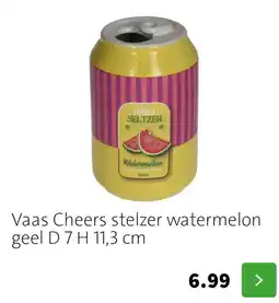 Intratuin Vaas Cheers stelzer watermeloen aanbieding
